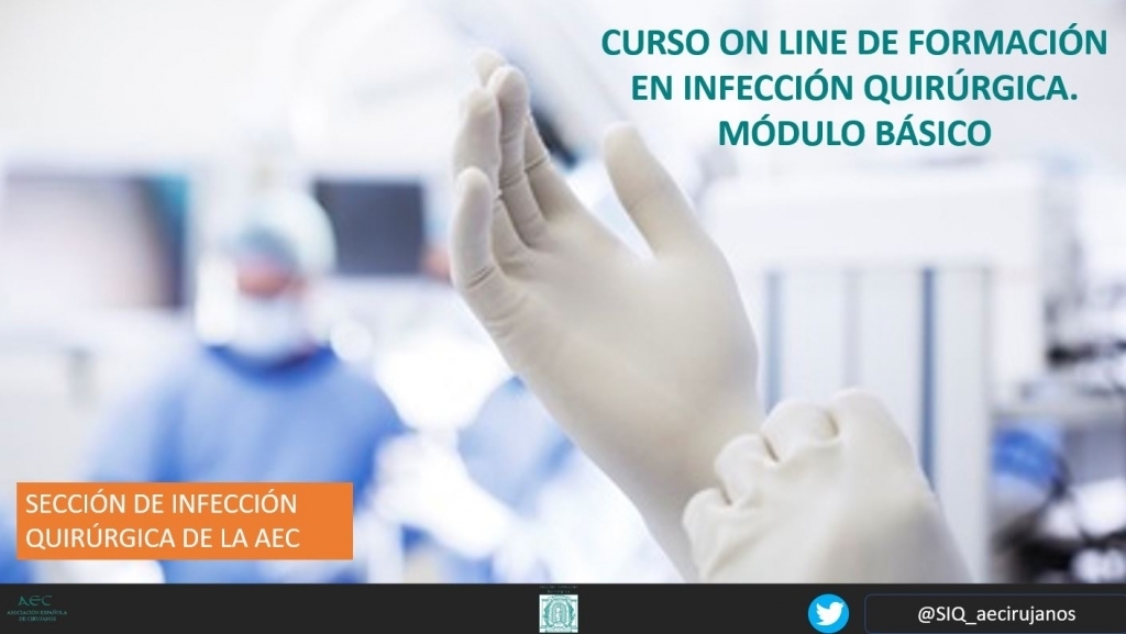 III Curso Online de Formación en Infección Quirúrgica. Módulo Básico. 2025