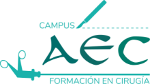 Asociación Española de Cirujanos | aec-campus.es